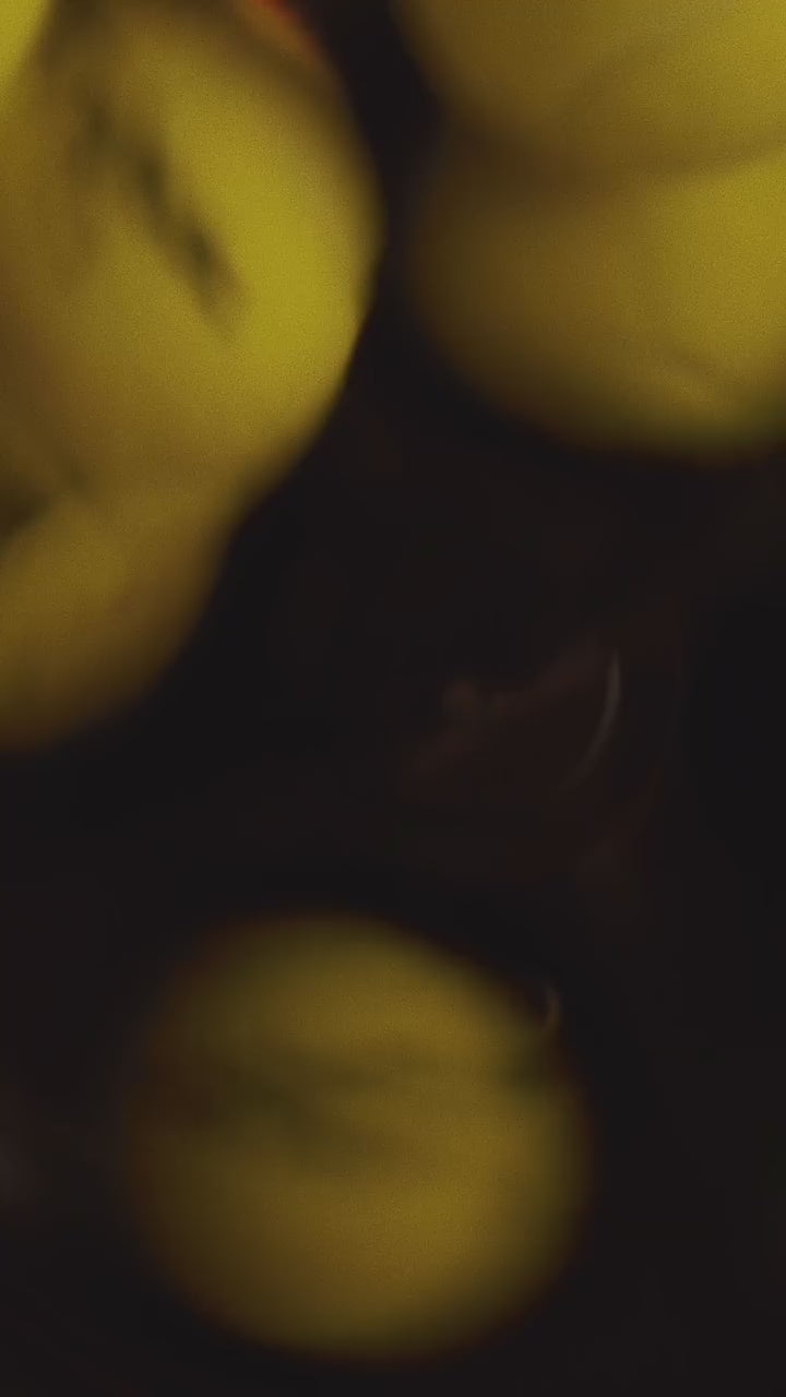 Raquete de Badminton Profissional Carbono Com Capa Loire